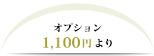オプション