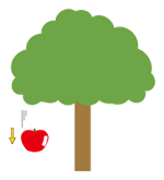 当スクールの施術